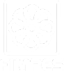 FIMPES